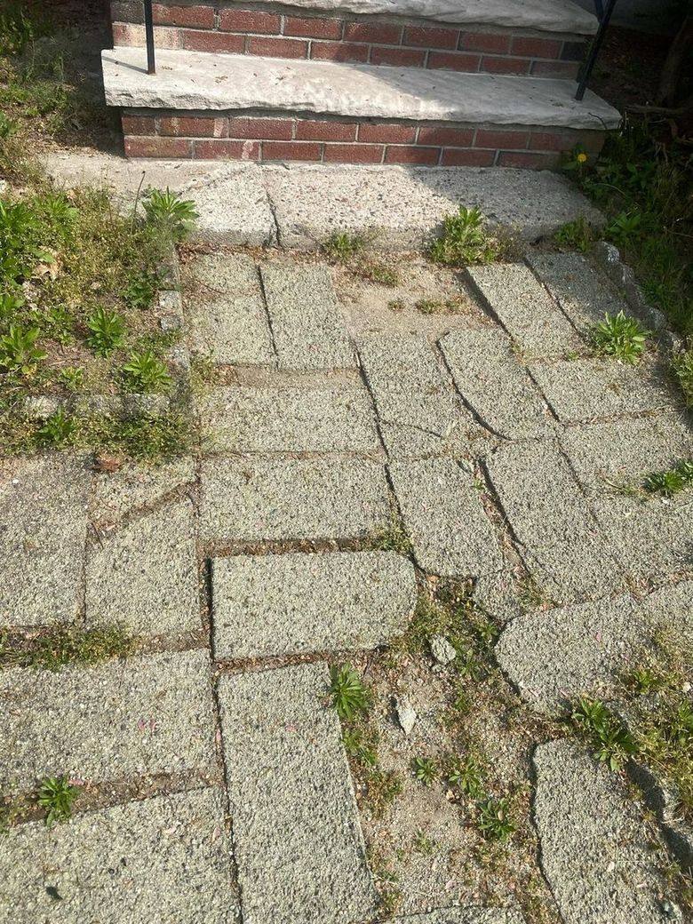 Cracked and settled concrete slab walkway with weeds growing through every joint
