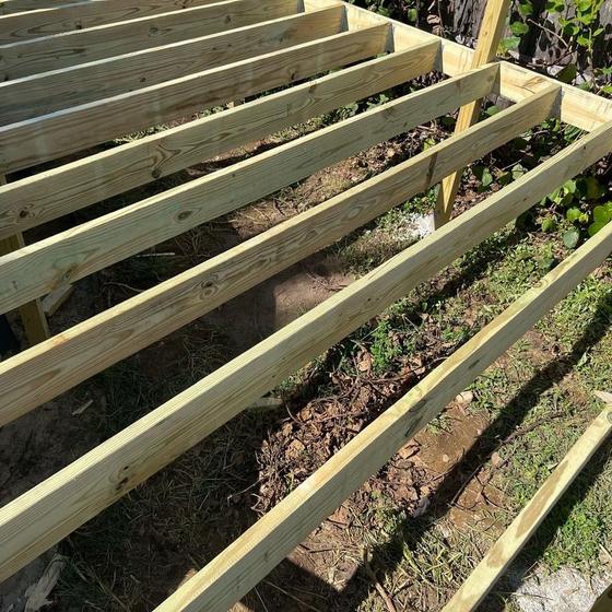 Pressure treated joists hung off a rim board